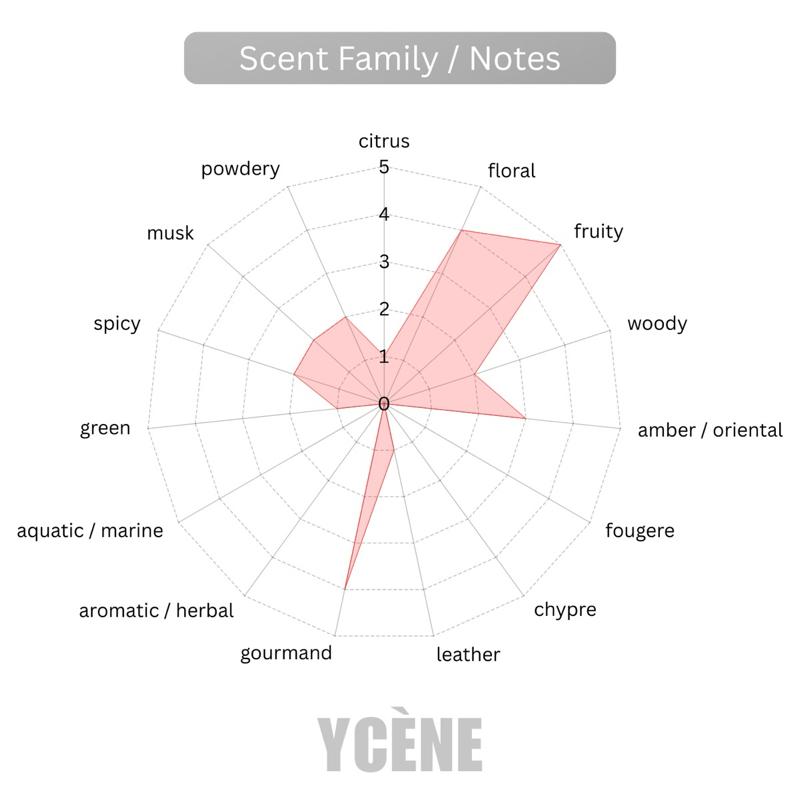 HONORABLE BLUSH - YCÈNE HONORABLE Collection 100ML Luxurious Female EDP Perempuan Perfume with 5-8 Hours Long Lasting Fragrance with dupe perfume Scents