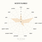 TERRE SUNLIT STONE 734