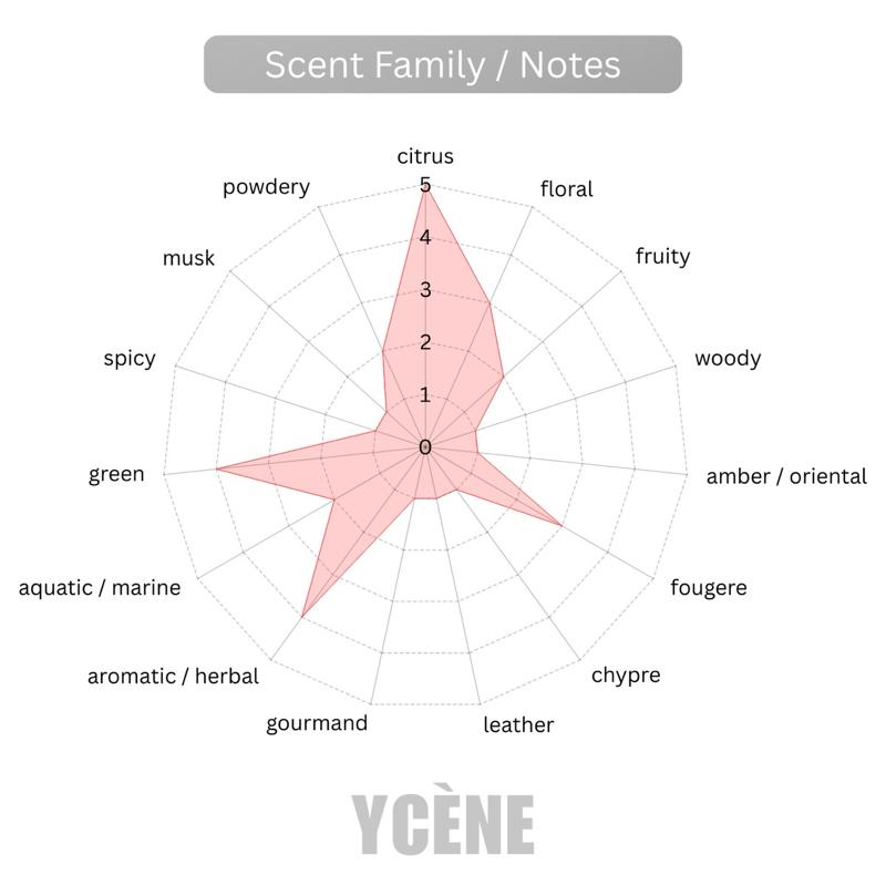 PURE GOLDEN SILK - YCÈNE VSE Collection 100Ml Luxurious Female EDP Luxury Quality Perempuan Perfume with 5-8 Hours Long Lasting Fragrance with dupe perfume Scents SELLION