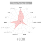 PURE GOLDEN SILK - YCÈNE VSE Collection 100Ml Luxurious Female EDP Luxury Quality Perempuan Perfume with 5-8 Hours Long Lasting Fragrance with dupe perfume Scents SELLION