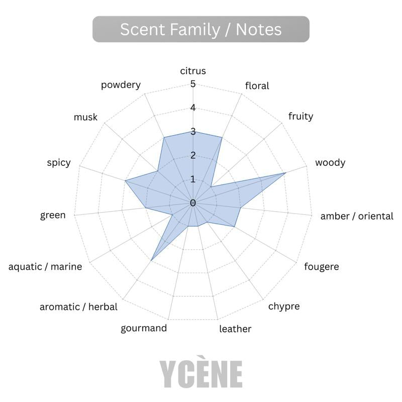 BLACK IS BLACK - Ycene Luxurious Male EDP Luxury Quality Perfume with 5-8 Hours Long Lasting Fragrance with dupe perfume Scents