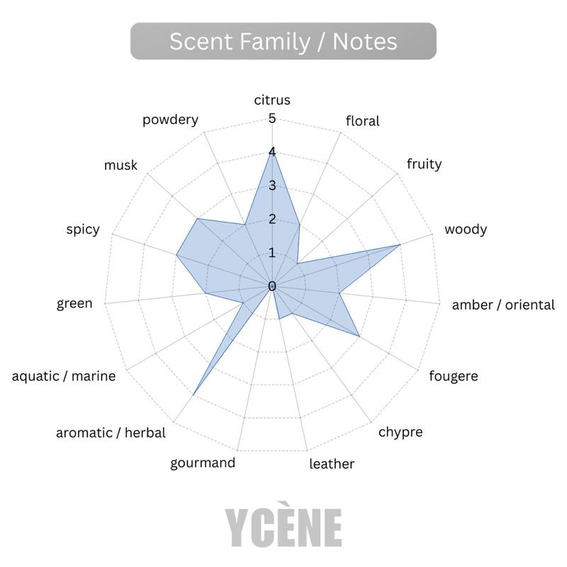 (TODAY SPECIAL) ENERGY SILVER - Ycène ENERGY Collection Luxurious Male EDP Lelaki Perfume with 5-8 Hours Long Lasting Fragrance with dupe perfume Scents
