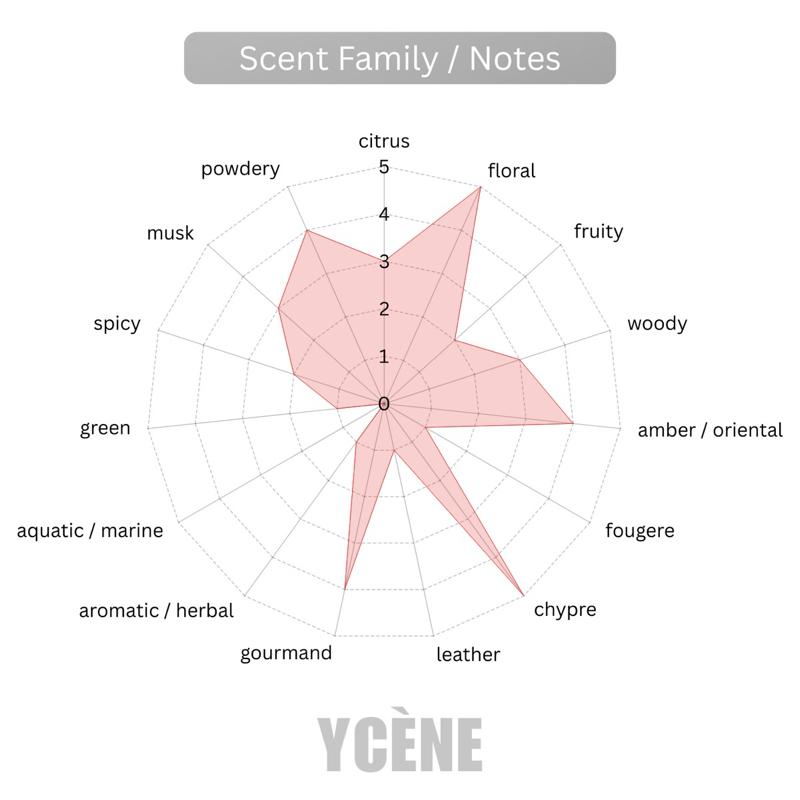 PUNK EMPRESS - Ycene H.Parfum Collection Luxurious Female EDP Perfume with 5-8 Hours Long Lasting Fragrance with dupe perfume Scents