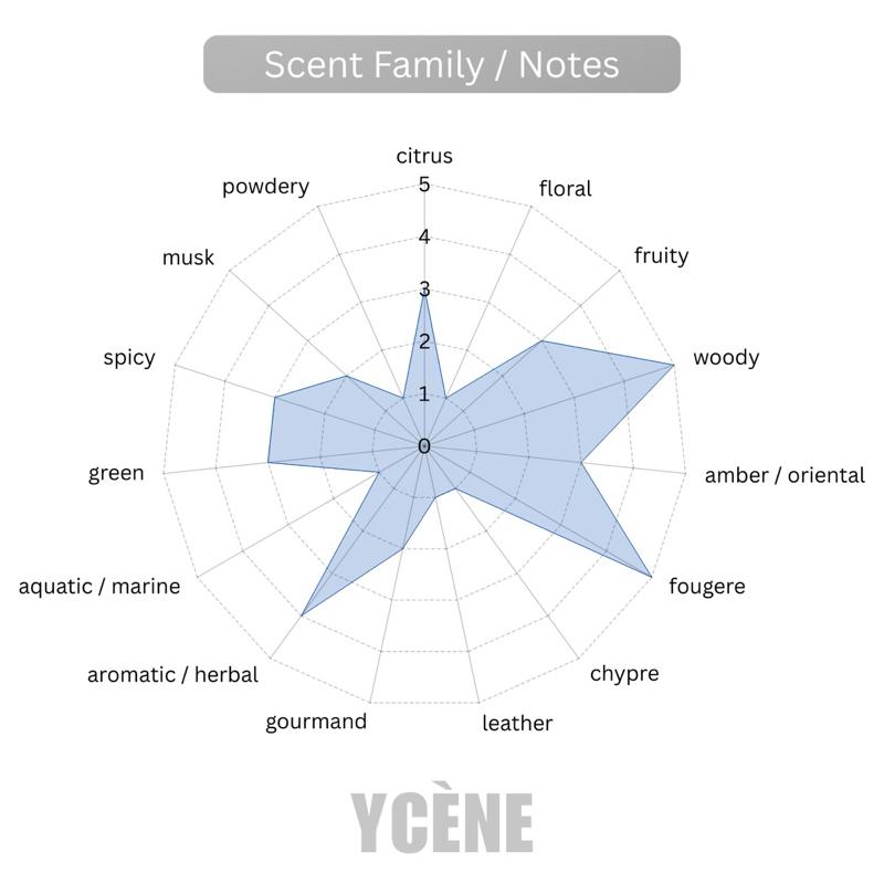 SHADOW FADE - Ycene VSE Collection Luxurious Male EDP Luxury Quality Lelaki Perfume with 5-8 Hours Long Lasting Fragrance with dupe perfume Scents SELLION