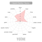 Golden Success Women  - YCÈNE SUCCESS Collection Luxurious 100ML Female EDP Perempuan Perfume with 5-8Hours Long Lasting Fragrance with dupe perfume Scents