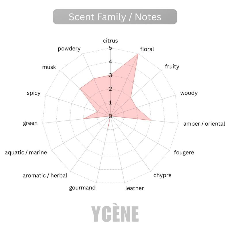 Golden Success Women  - YCÈNE SUCCESS Collection Luxurious 100ML Female EDP Perempuan Perfume with 5-8Hours Long Lasting Fragrance with dupe perfume Scents