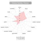 BLUSH VEIL - YCÈNE PRETTY Collection Luxurious 100ML Female EDP Intense Perempuan Perfume with 5-8Hours Long Lasting Fragrance with dupe perfume Scents