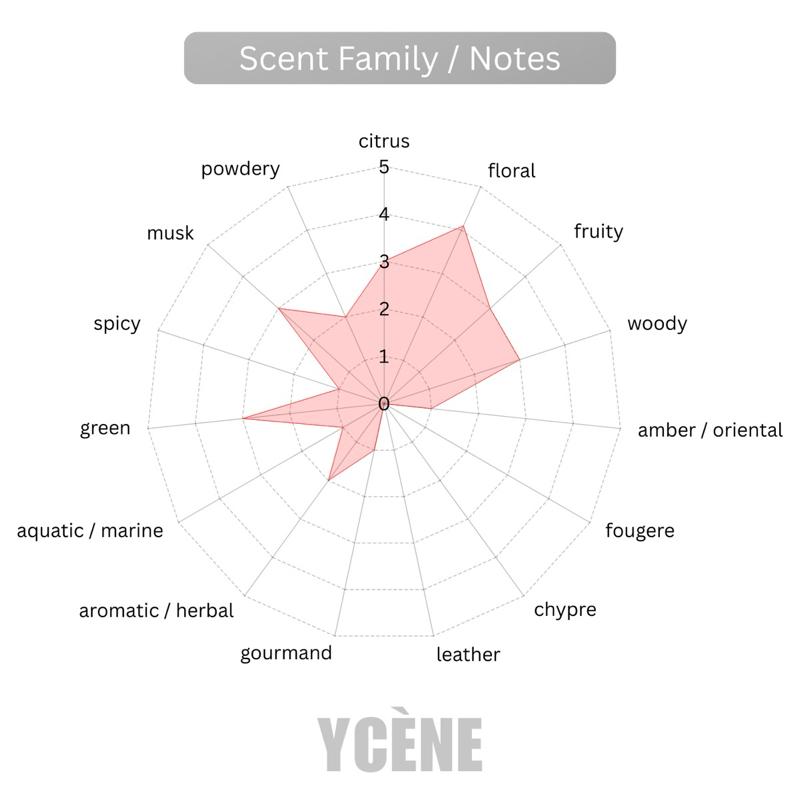 BLUSH VEIL - YCÈNE PRETTY Collection Luxurious 100ML Female EDP Intense Perempuan Perfume with 5-8Hours Long Lasting Fragrance with dupe perfume Scents