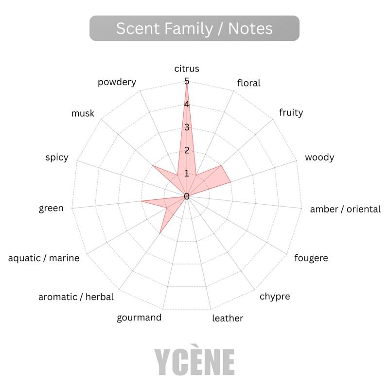 GOLDEN CATELLE - Ycène CAT Collection Luxurious Unisex EDP Perfume with 5-8 Hours Long Lasting Fragrance with dupe perfume Scents SELLION