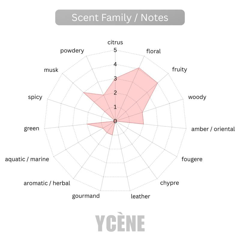 MIDNIGHT BLUSH - YCÈNE PRETTY Collection Luxurious 100ML Female EDP Intense Perempuan Perfume with 5-8Hours Long Lasting Fragrance with dupe perfume Scents