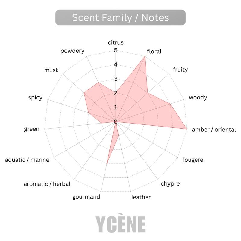GOLDEN BABY BEAR - YCÈNE BABYBEAR Collection Luxurious 75ML Female EDP Perempuan Perfume with 5-8Hours Long Lasting Fragrance with dupe perfume Scents