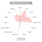 GOLDEN BABY BEAR - YCÈNE BABYBEAR Collection Luxurious 75ML Female EDP Perempuan Perfume with 5-8Hours Long Lasting Fragrance with dupe perfume Scents